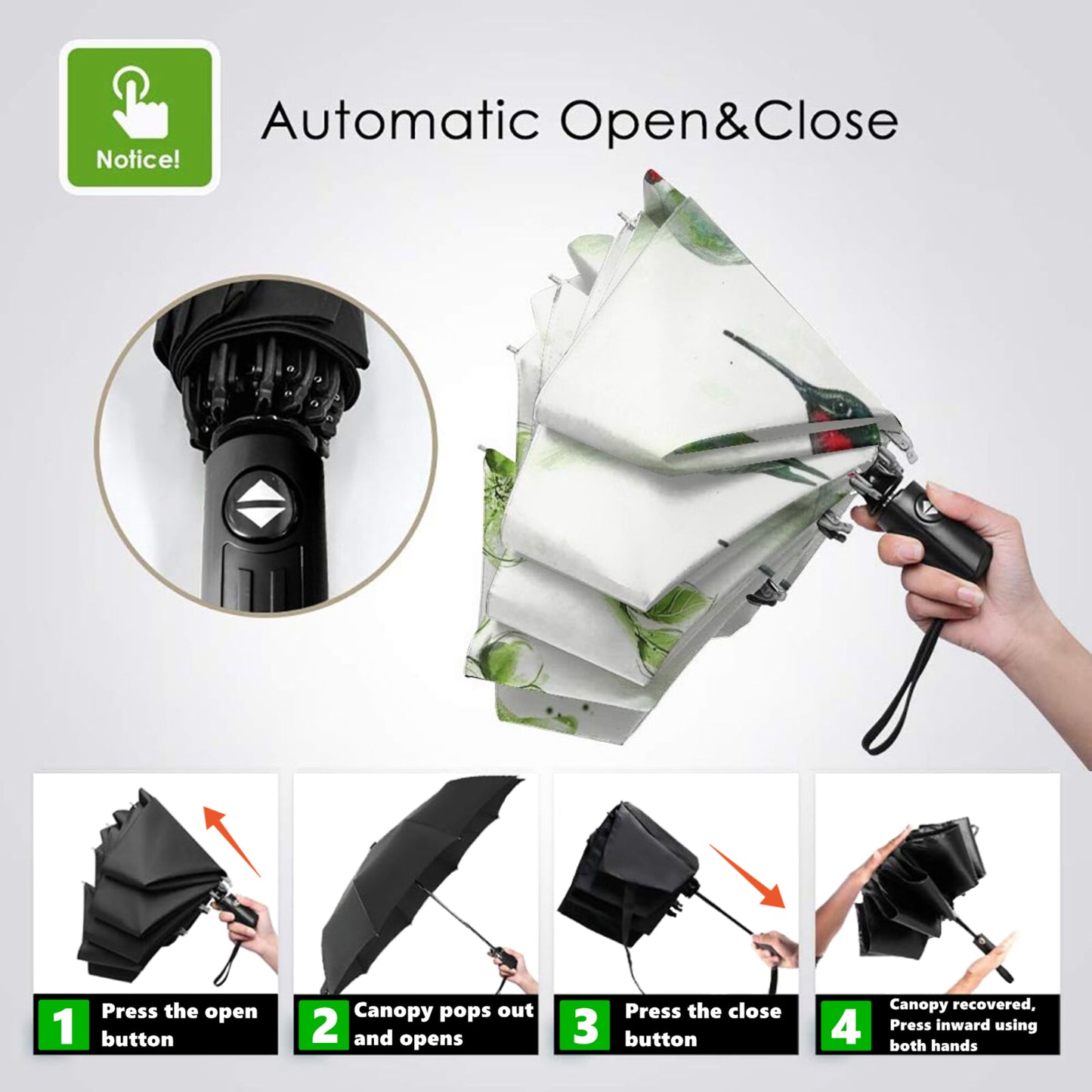 Parapluie pliable imprimé colibri