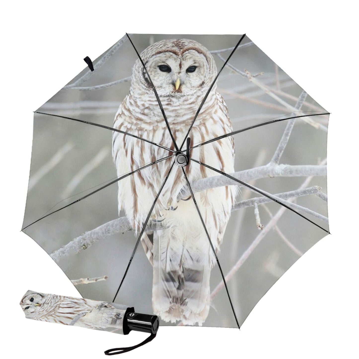 Kleiner faltbarer Regenschirm mit Schneeeulen-Aufdruck innen