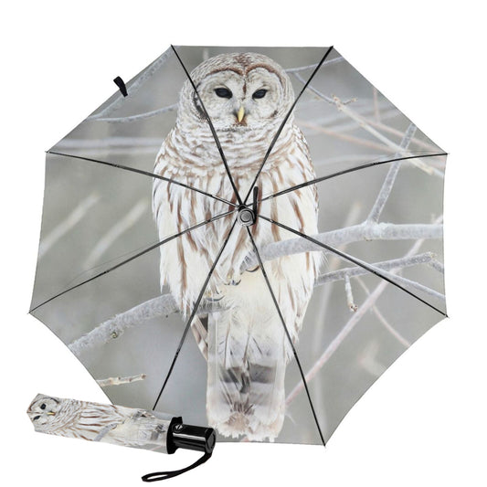 Anti-UV Automatic Open Close Small Foldable Umbrella With Snowy Owl Print Inside
